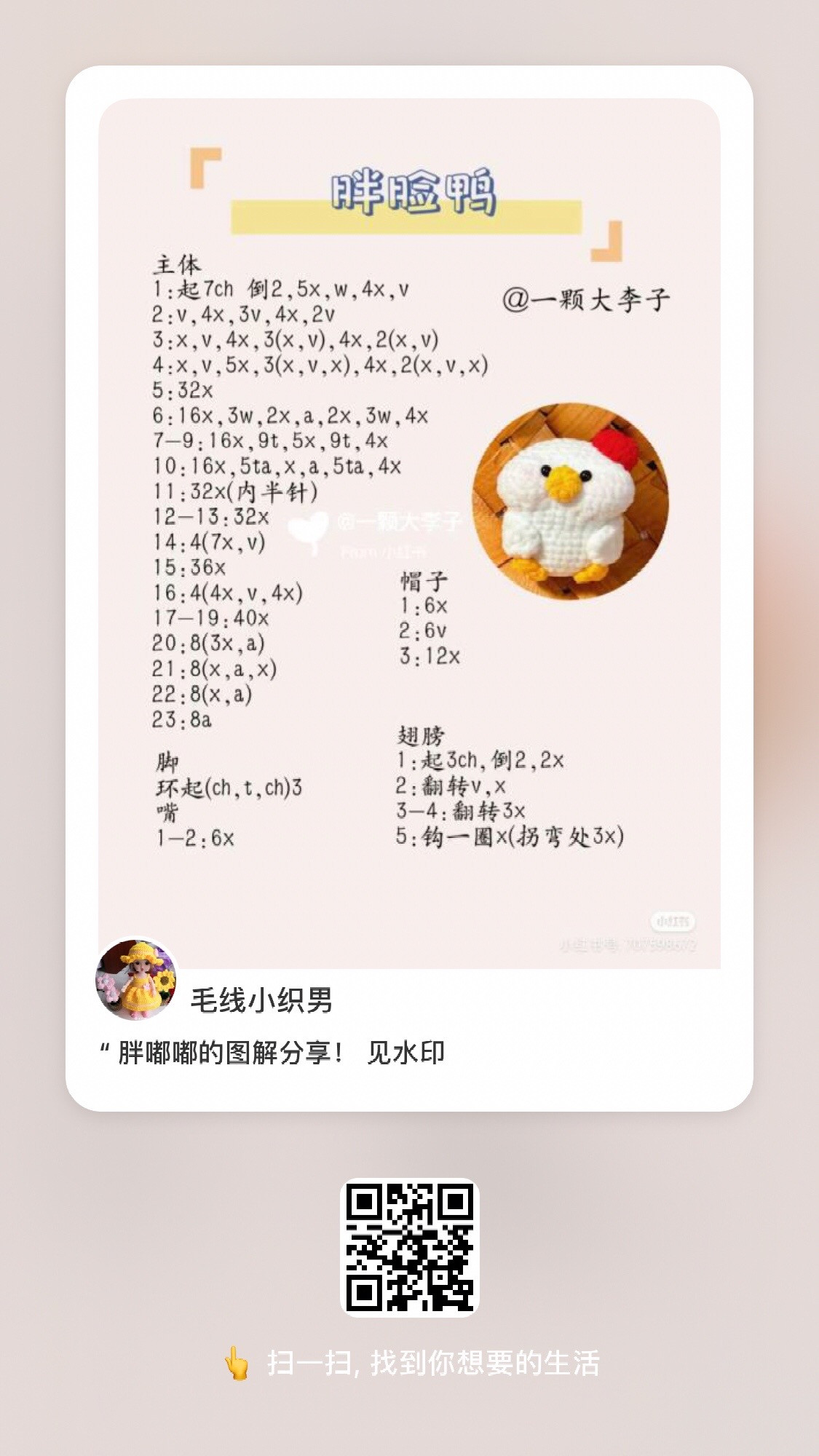 Chubby Animal Crochet Patterns: Panda, Duck, Rabbit, Capybara & Corgi Amigurumi Charts