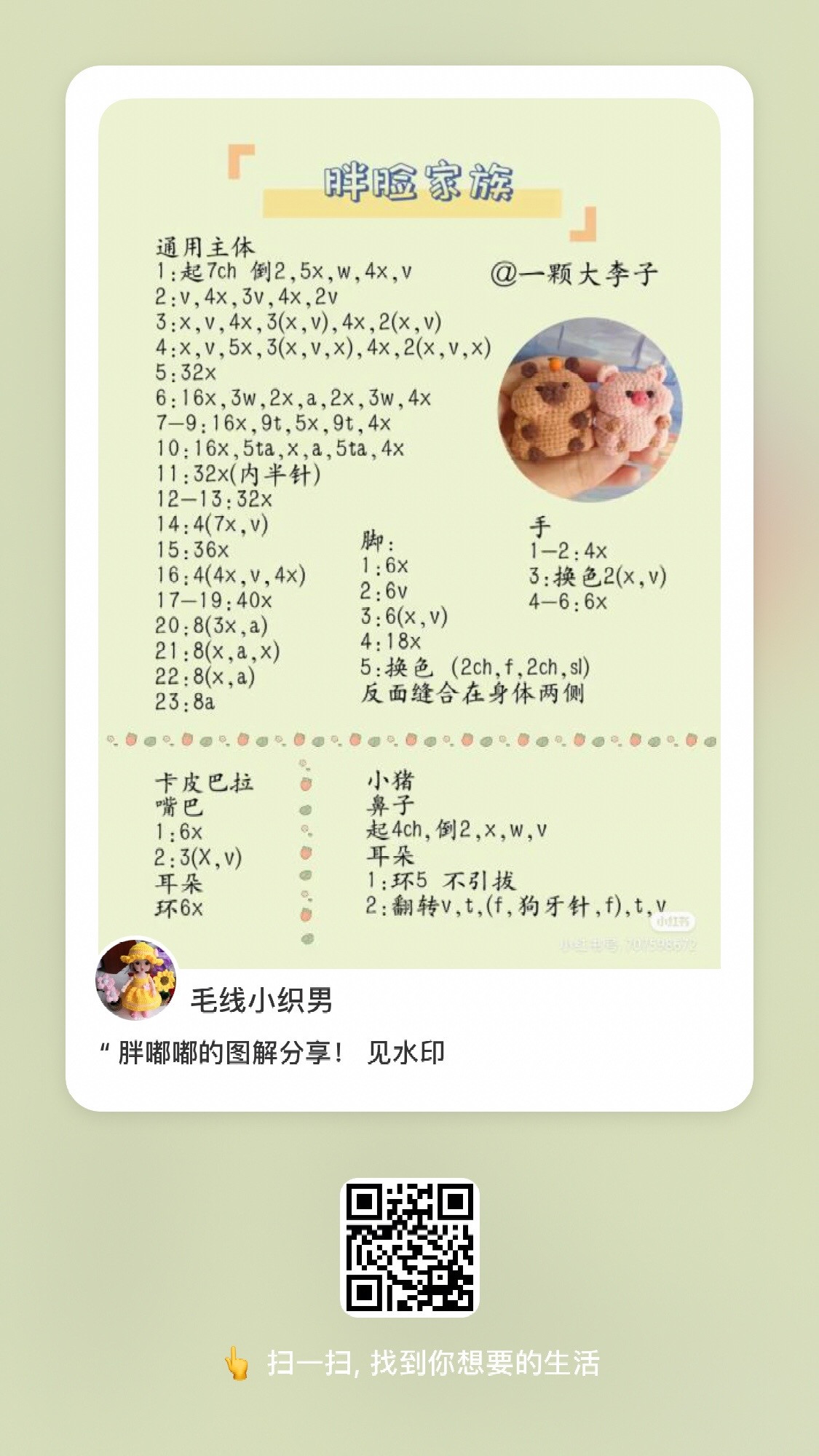 Chubby Animal Crochet Patterns: Panda, Duck, Rabbit, Capybara & Corgi Amigurumi Charts