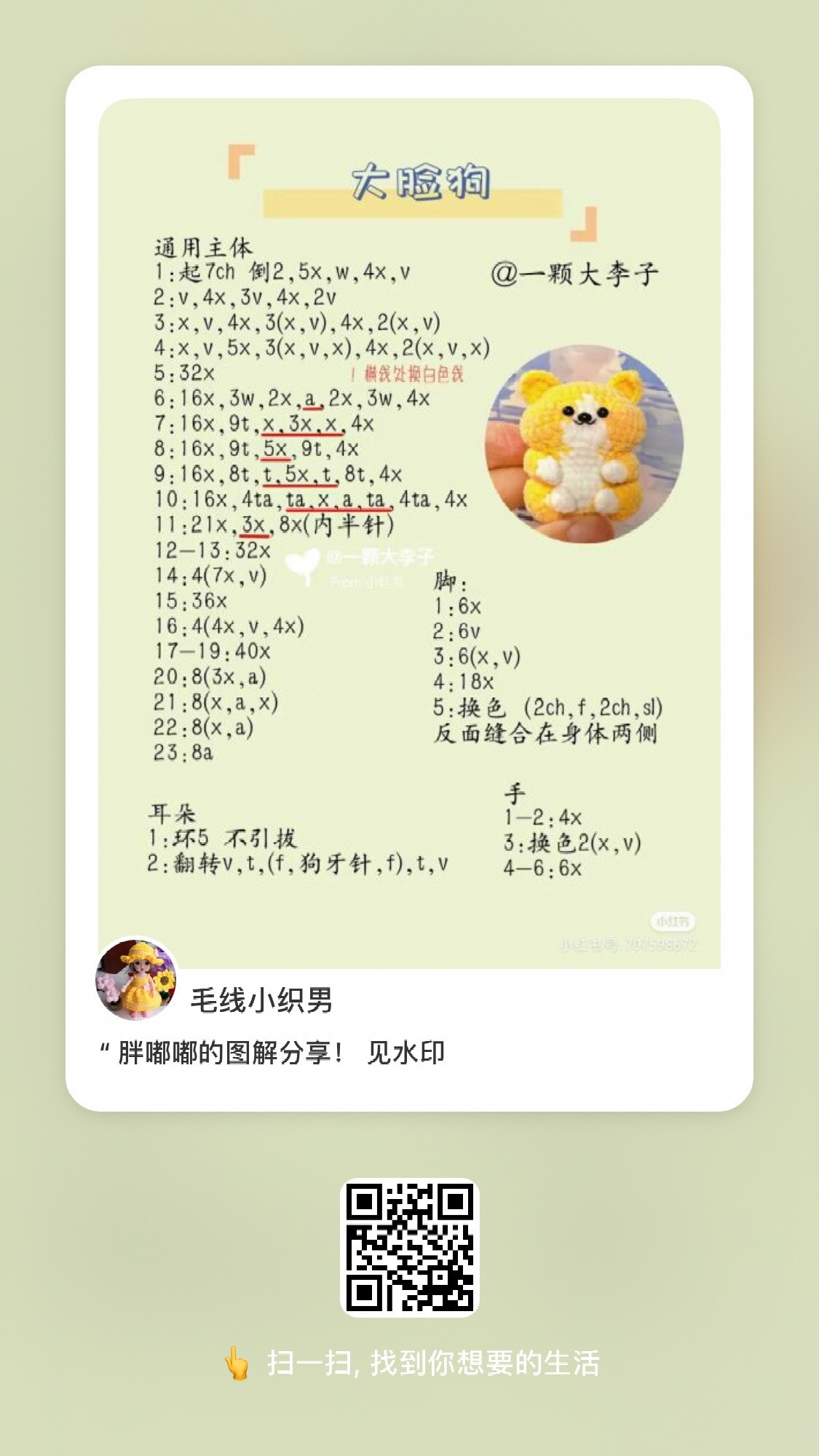 Chubby Animal Crochet Patterns: Panda, Duck, Rabbit, Capybara & Corgi Amigurumi Charts