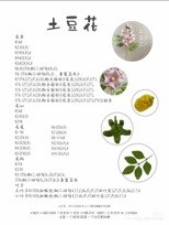 Collection of Crochet Flower Patterns with Chinese Charts and Photos