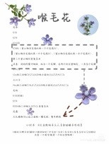 Collection of Crochet Flower Patterns with Chinese Charts and Photos