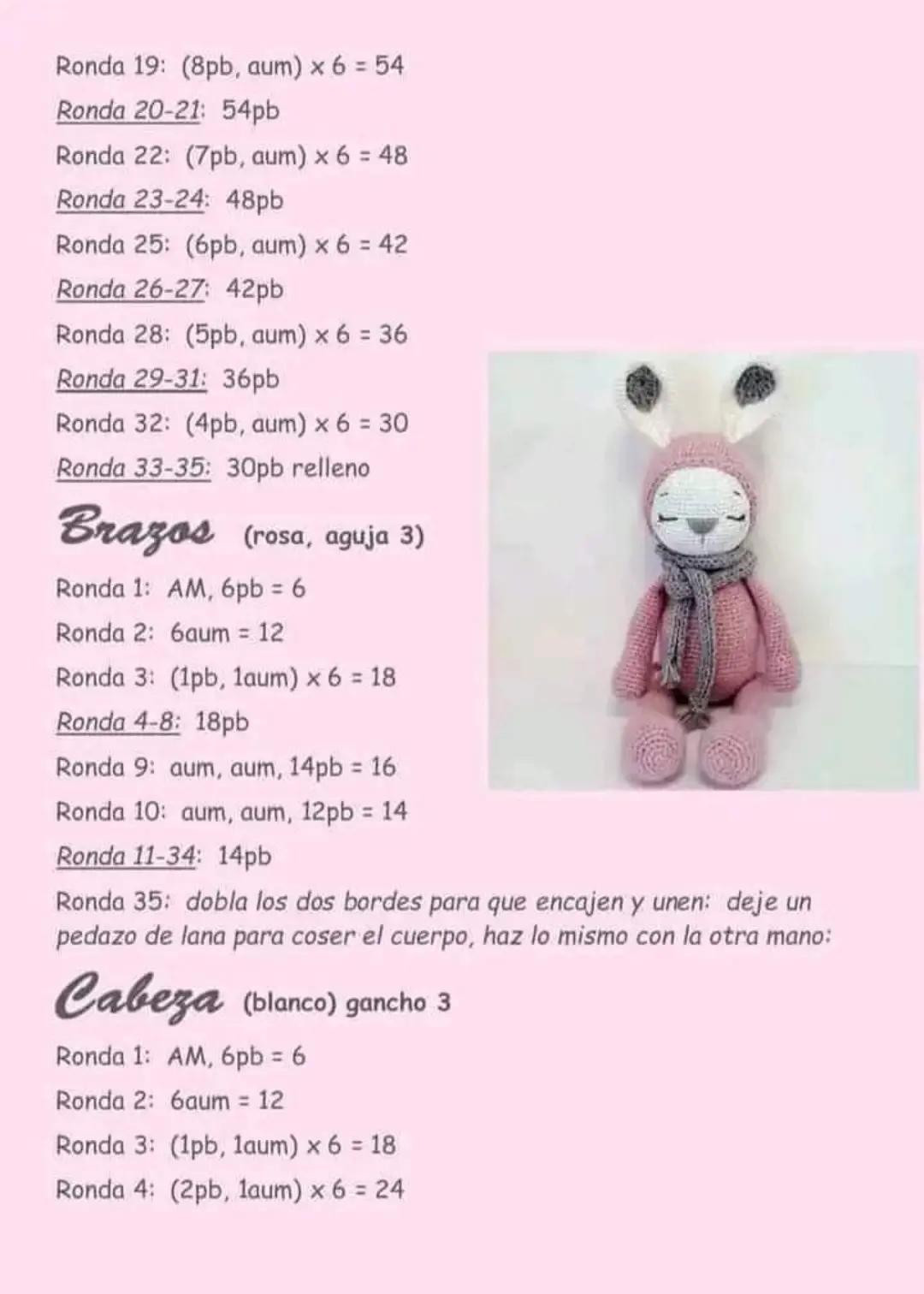 Conejita Zoe Amigurumi Pattern: Complete Crochet Instructions for Pink Rabbit Doll with Hood and Scarf