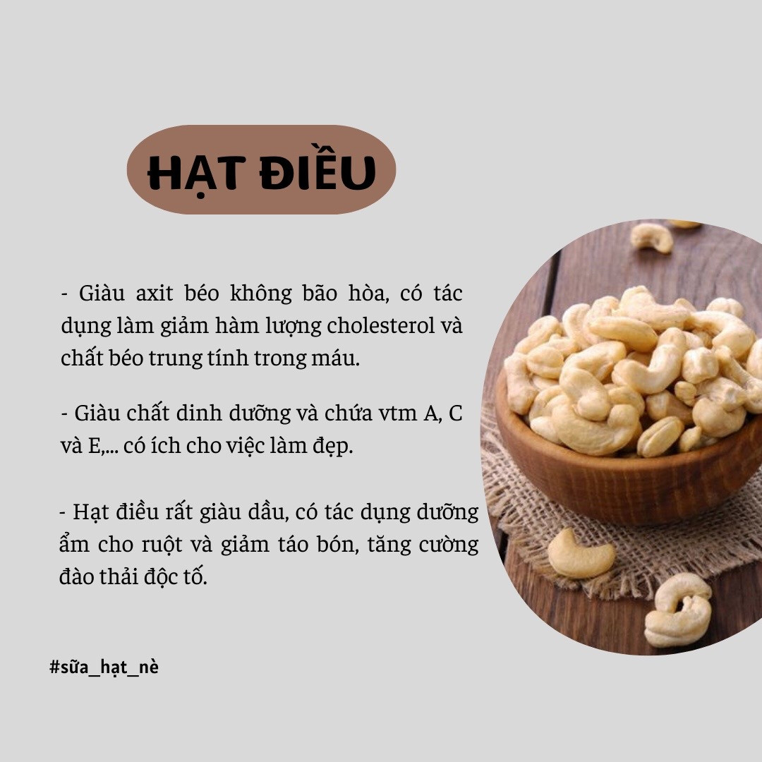 Công dụng và lợi ích sức khỏe của các loại hạt dinh dưỡng: Hạt điều, Óc chó, Macca, Hạnh nhân