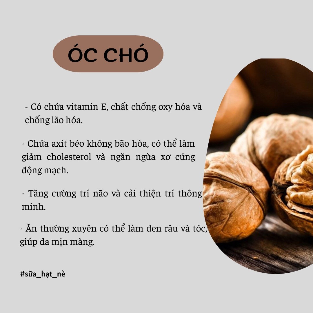 Công dụng và lợi ích sức khỏe của các loại hạt dinh dưỡng: Hạt điều, Óc chó, Macca, Hạnh nhân