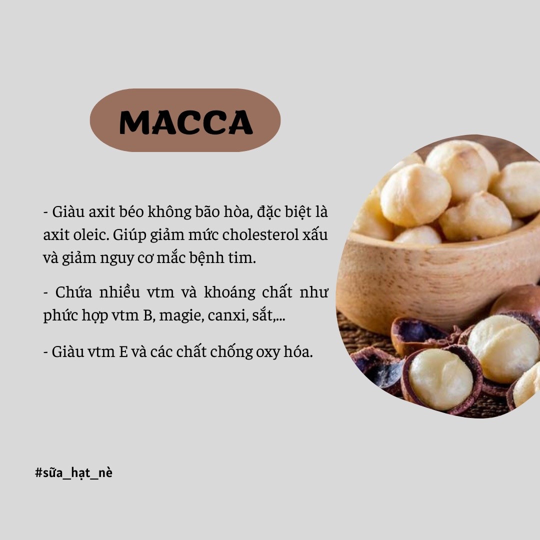 Công dụng và lợi ích sức khỏe của các loại hạt dinh dưỡng: Hạt điều, Óc chó, Macca, Hạnh nhân