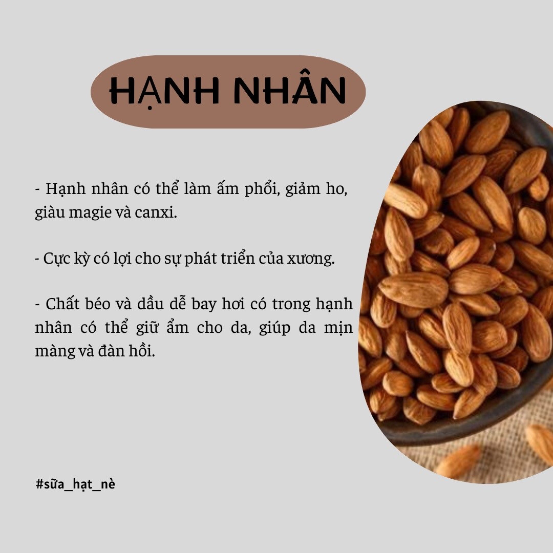 Công dụng và lợi ích sức khỏe của các loại hạt dinh dưỡng: Hạt điều, Óc chó, Macca, Hạnh nhân