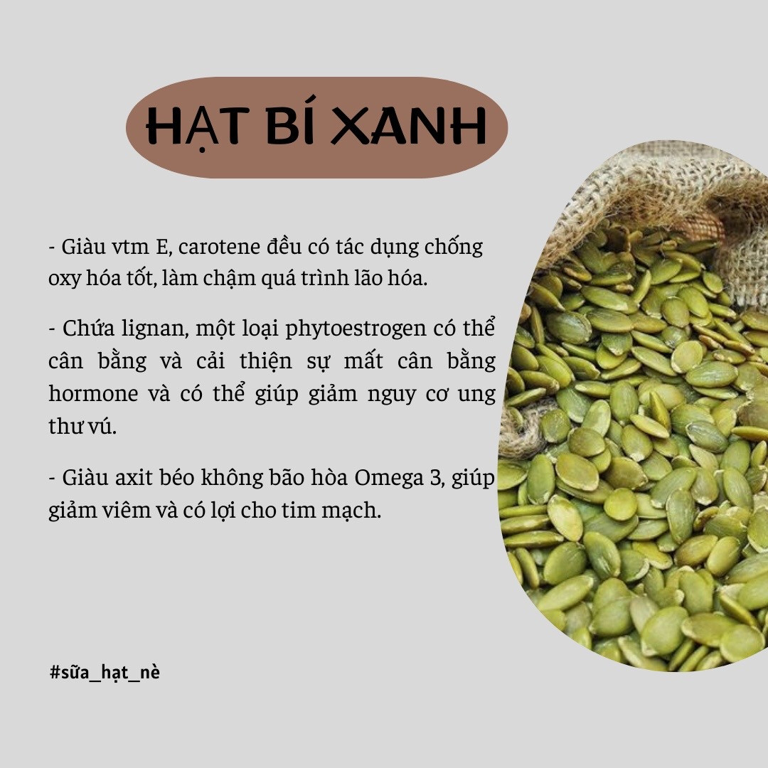 Công dụng và lợi ích sức khỏe của các loại hạt dinh dưỡng: Hạt điều, Óc chó, Macca, Hạnh nhân