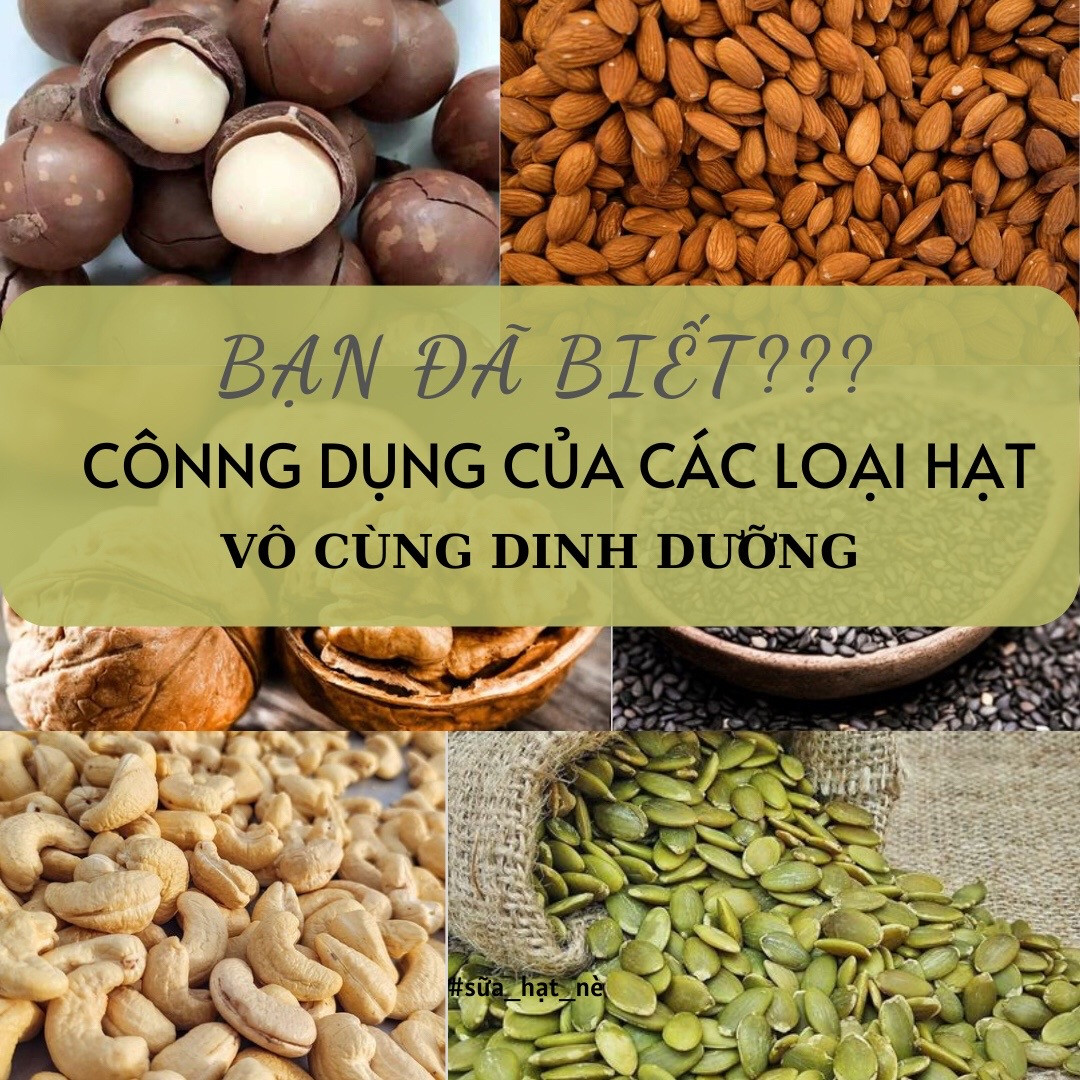 Công dụng và lợi ích sức khỏe của các loại hạt dinh dưỡng: Hạt điều, Óc chó, Macca, Hạnh nhân