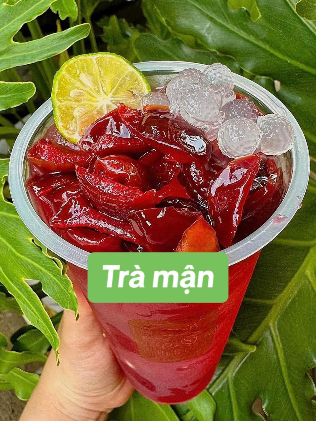 Công thức làm Trà Mận giải khát với hồng trà, trân châu trắng và quất