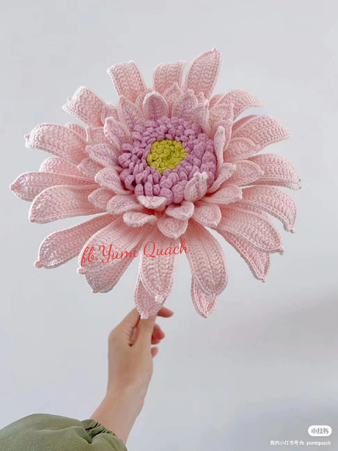 Crochet African Daisy Flower Pattern Tutorial