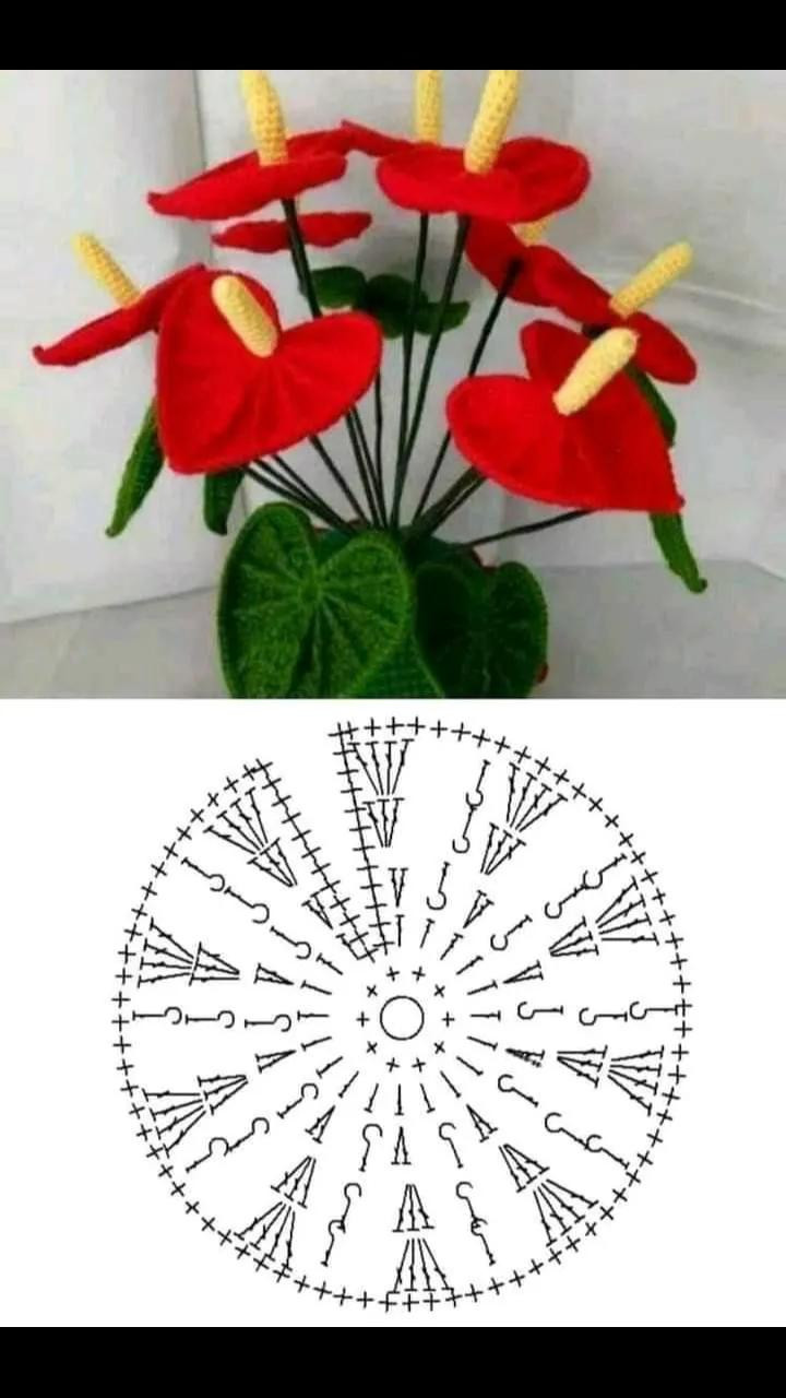 Crochet Anthurium Flower Pattern Chart