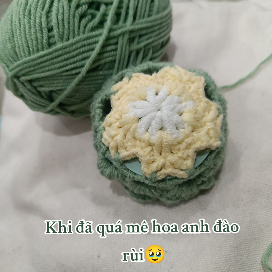 Crochet Apricot Flower Compact Case Pattern