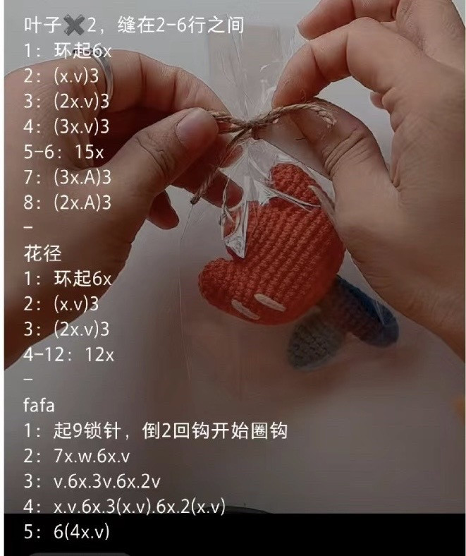 Crochet Cactus and Flower Brooch Flat Charts