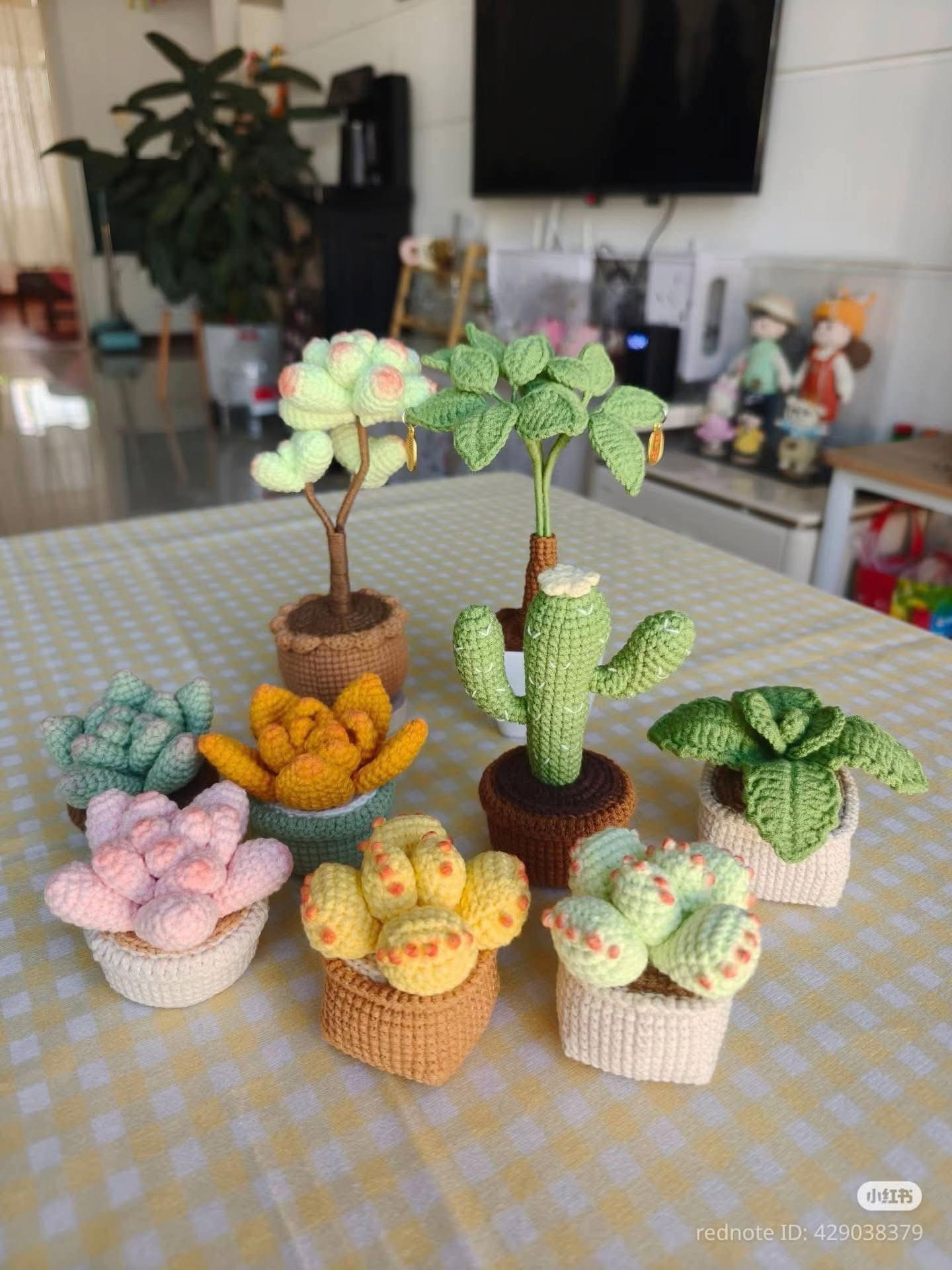 Crochet Cactus and Succulent Plants Pattern Chart
