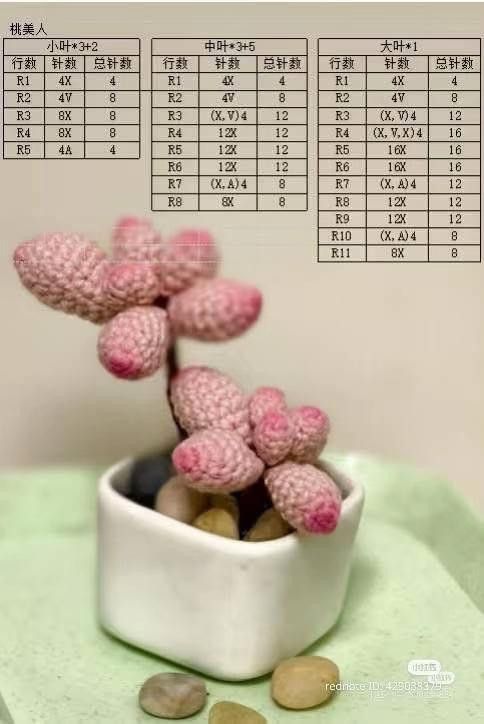 Crochet Cactus and Succulent Plants Pattern Chart