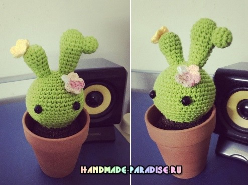 Crochet Cactus Doll Amigurumi Pattern Chart