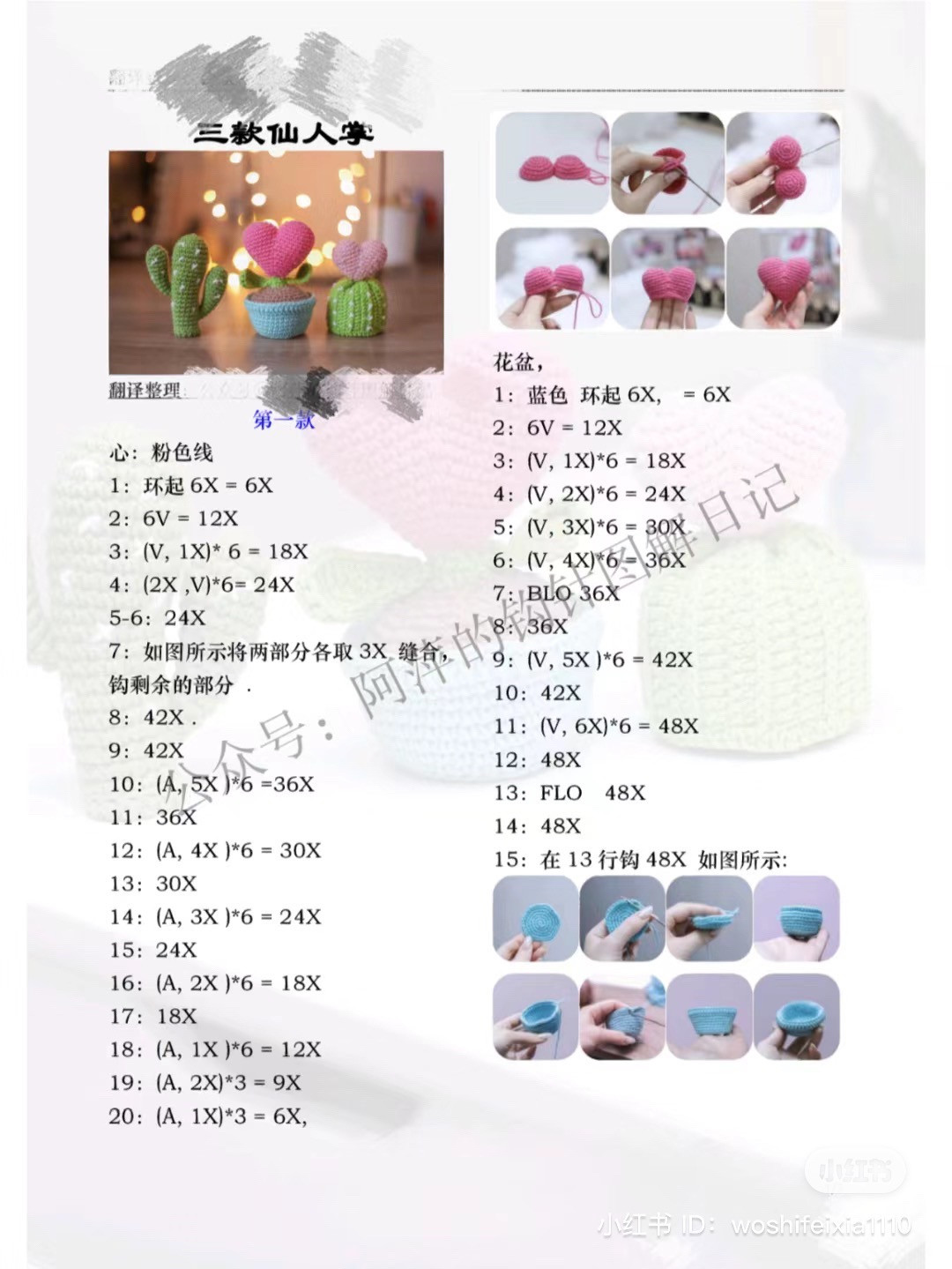 Crochet Cactus Small Potted Plant Chart with 4 Styles