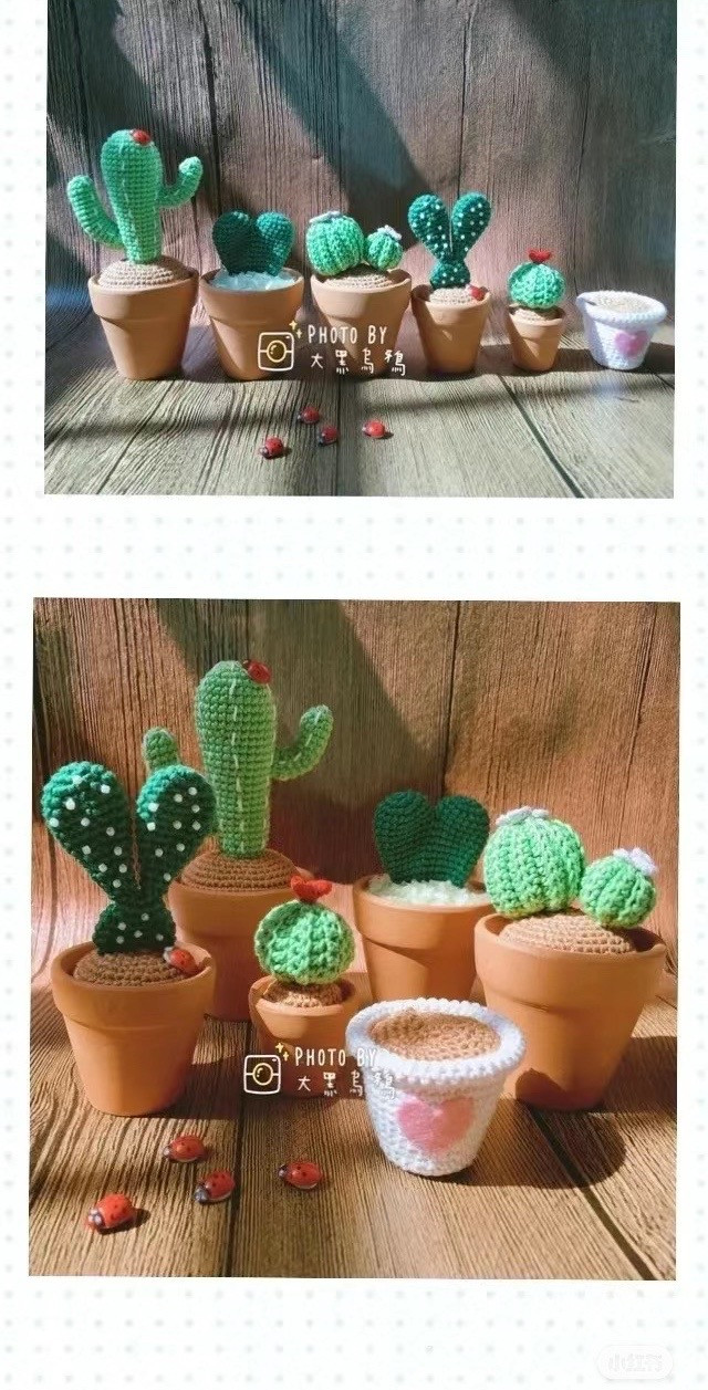 Crochet Cactus Small Potted Plant Chart with 4 Styles