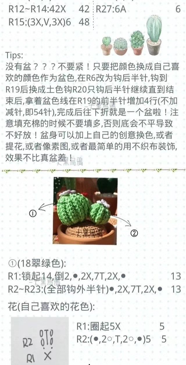 Crochet Cactus Small Potted Plant Chart with 4 Styles