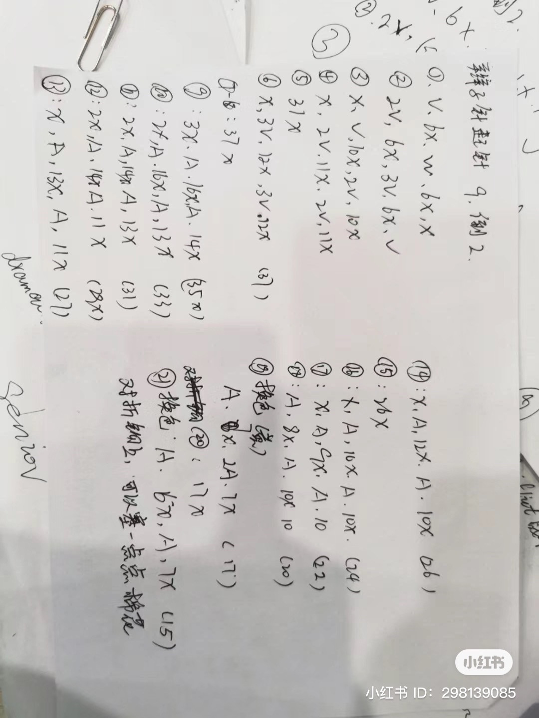 Crochet Cactus Small Potted Plant Chart with 4 Styles