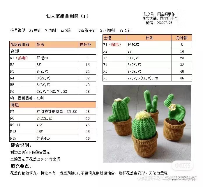 Crochet Cactus Small Potted Plant Chart with 4 Styles