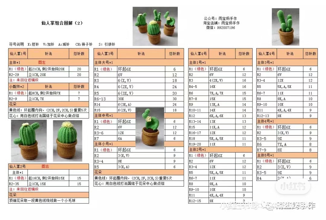 Crochet Cactus Small Potted Plant Chart with 4 Styles