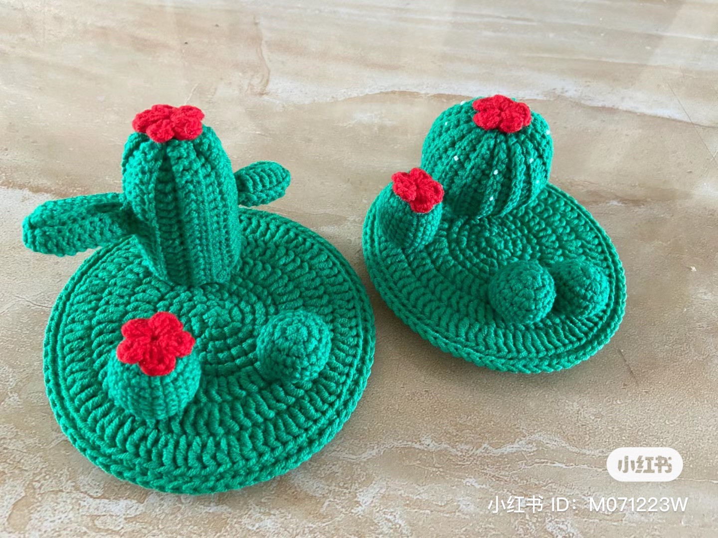 Crochet Cactus Small Potted Plant Chart with 4 Styles