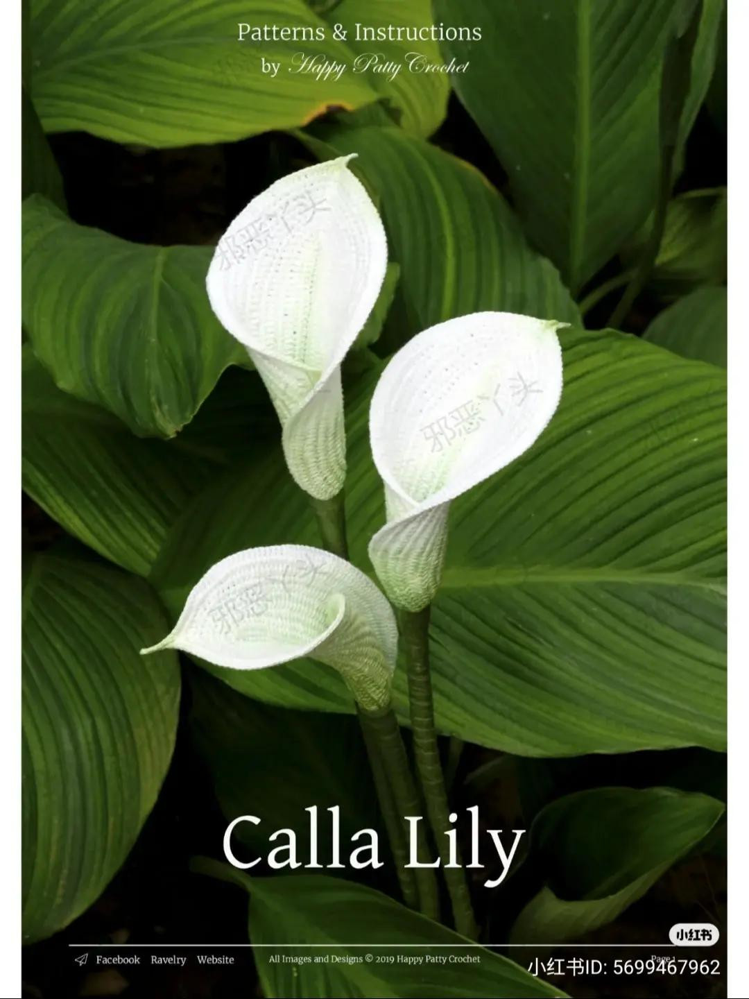 Crochet Calla Lily Flower Pattern Diagram and Instructions by Happy Patty Crochet