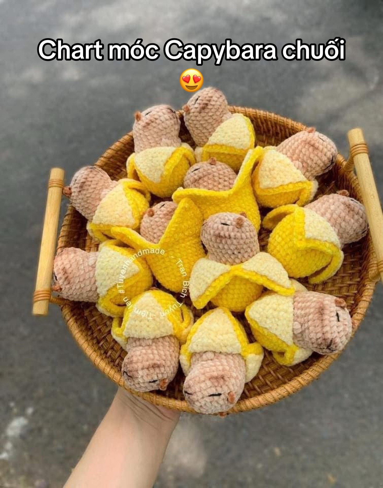 Crochet Capybara Banana Pattern Chart