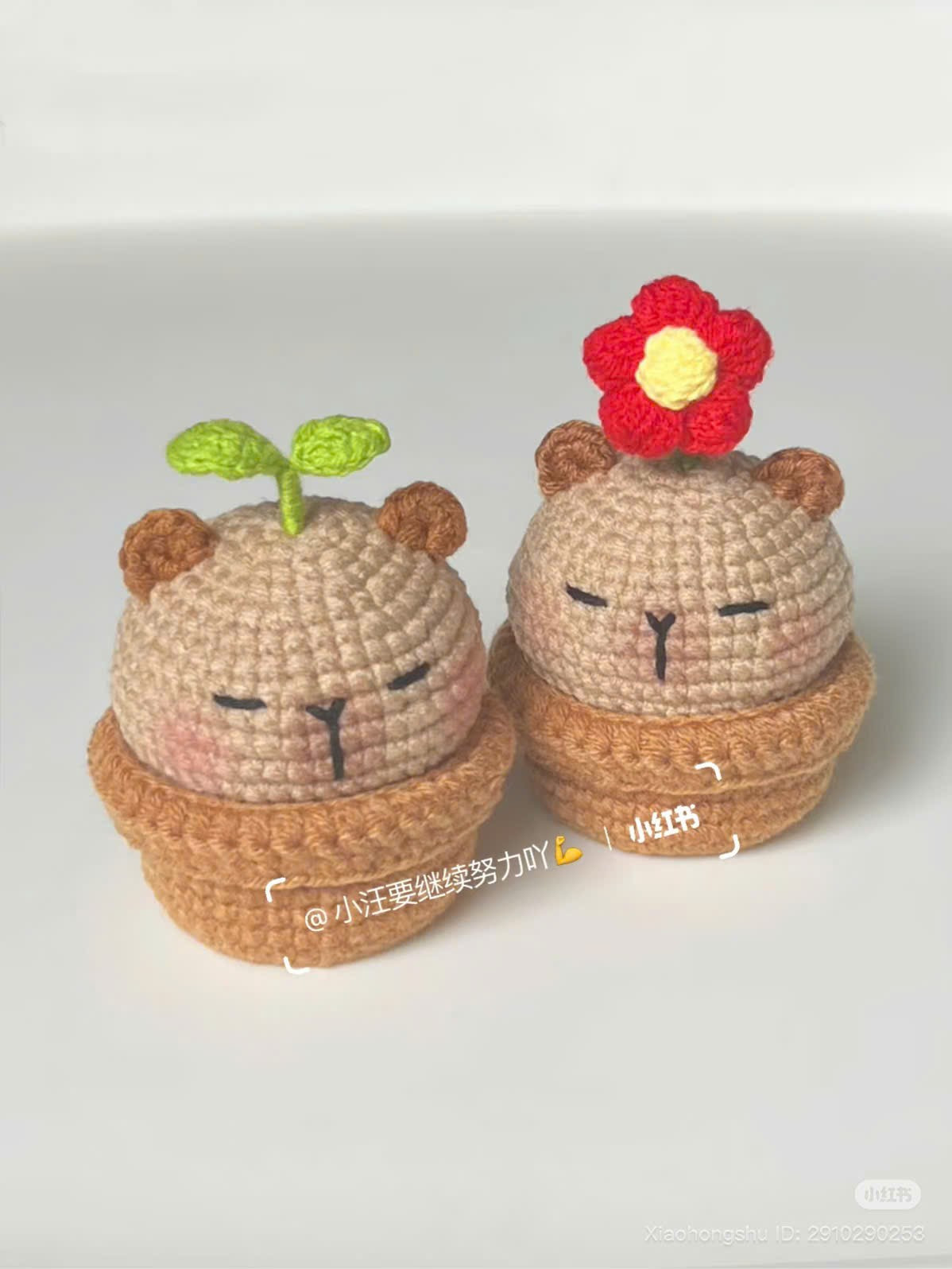 Crochet Capybara Head in Flower Pot Chart Pattern