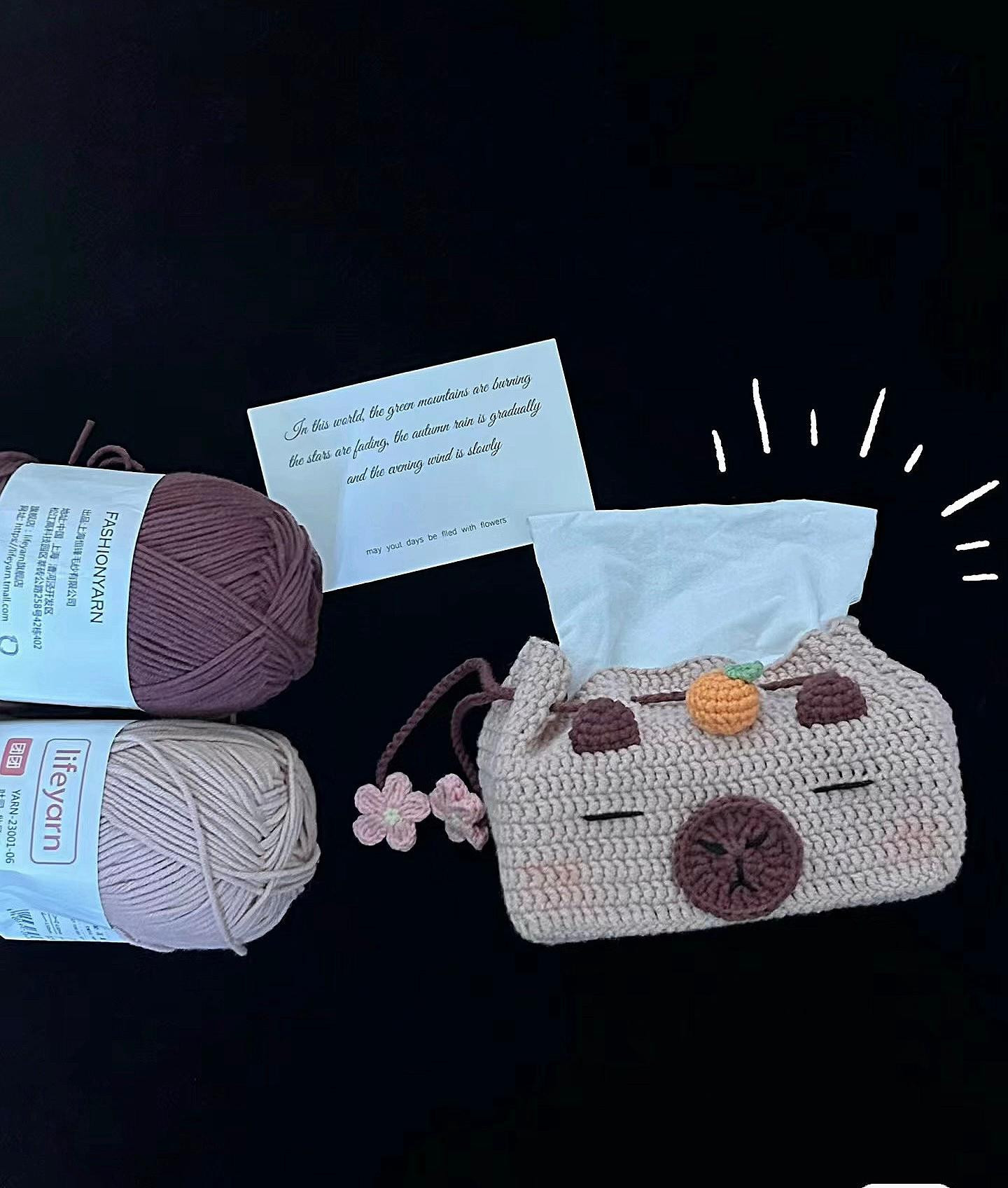 Crochet Capybara Tissue Box Cover Pattern with Orange and Flower