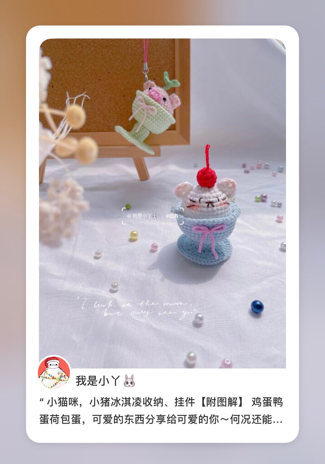 Crochet Cat Ice Cream Storage and Pig Keychain Pattern