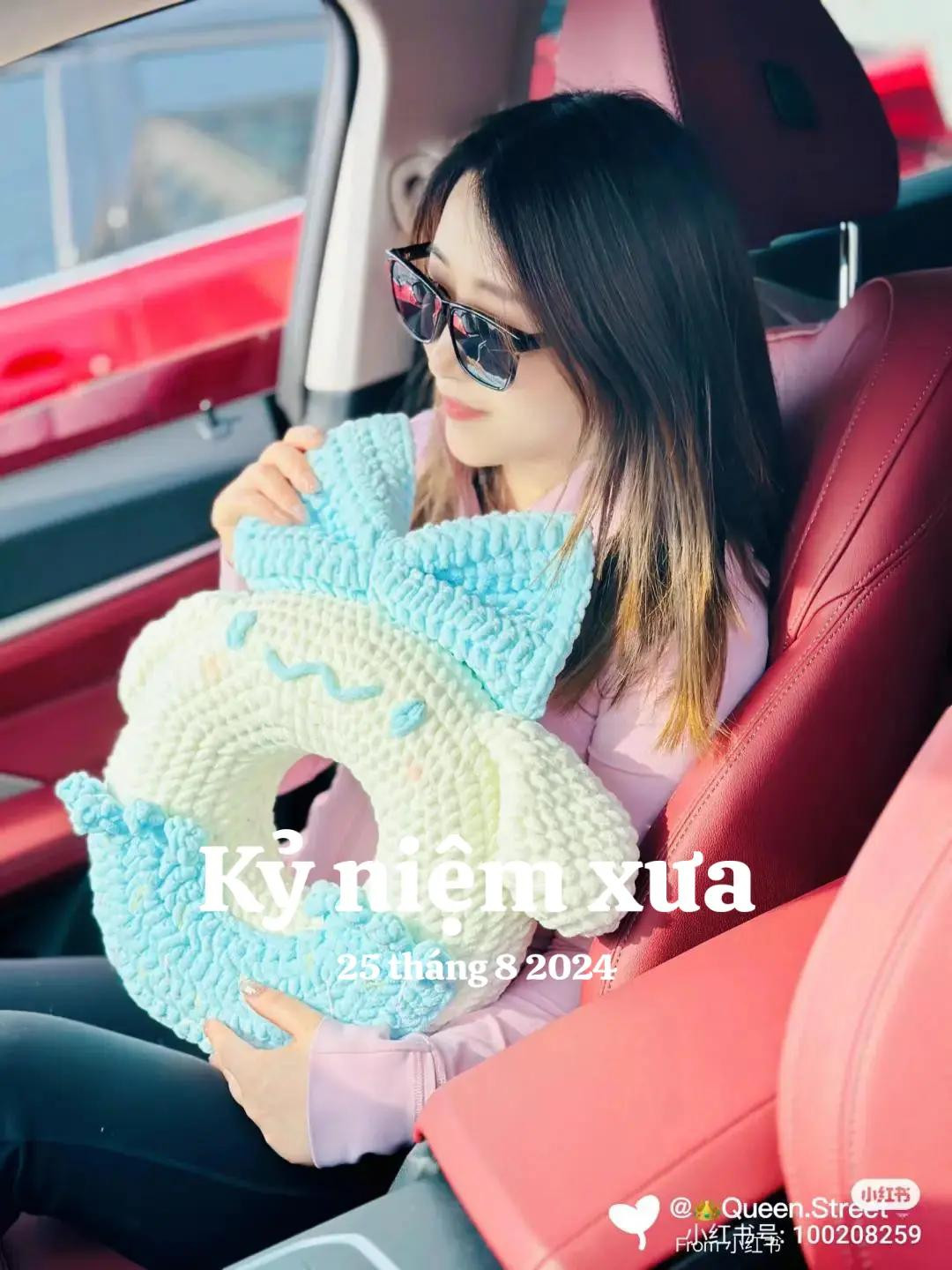 Crochet Chart for Cinnamoroll Donut Pillow Pattern