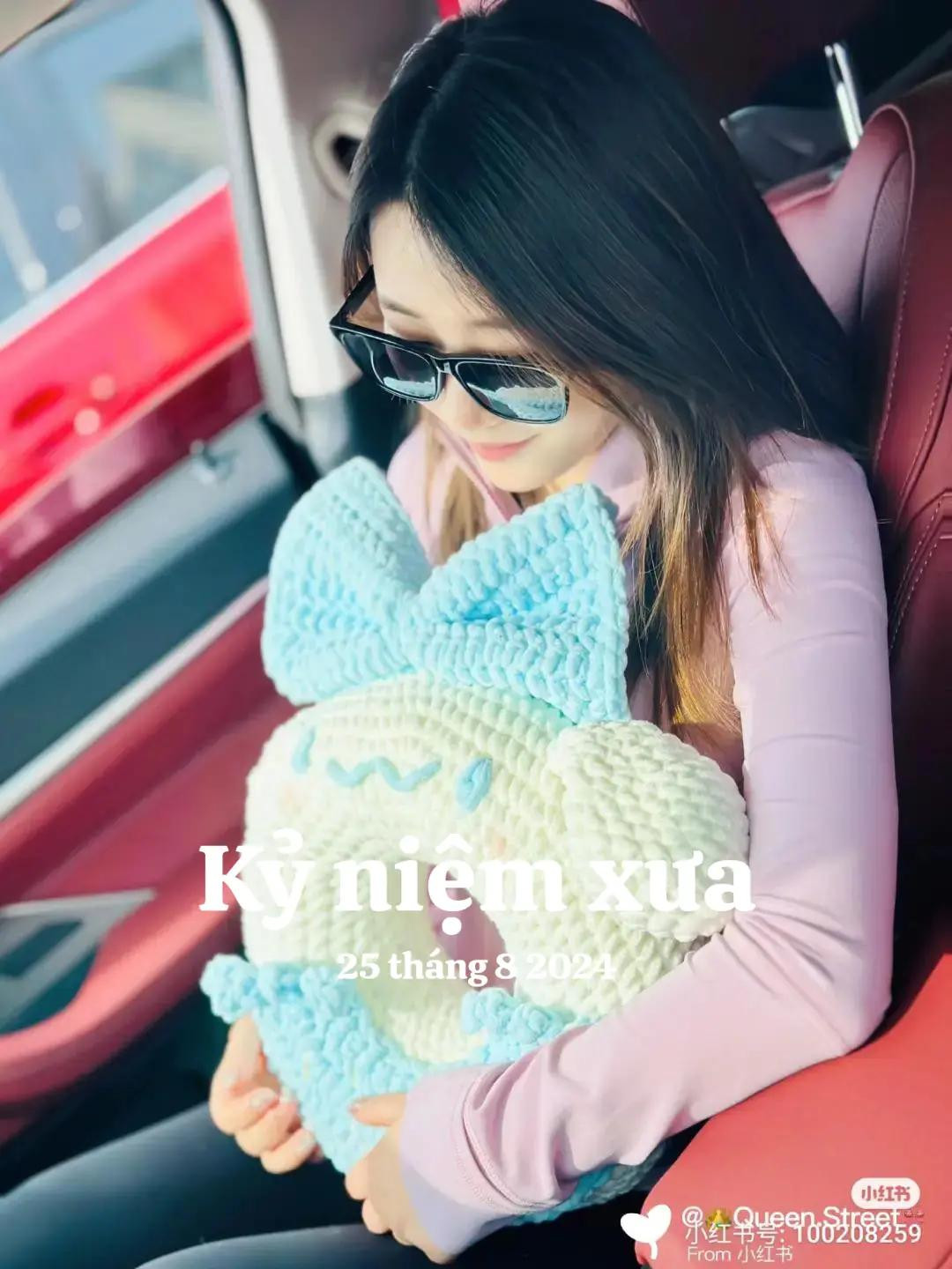 Crochet Chart for Cinnamoroll Donut Pillow Pattern