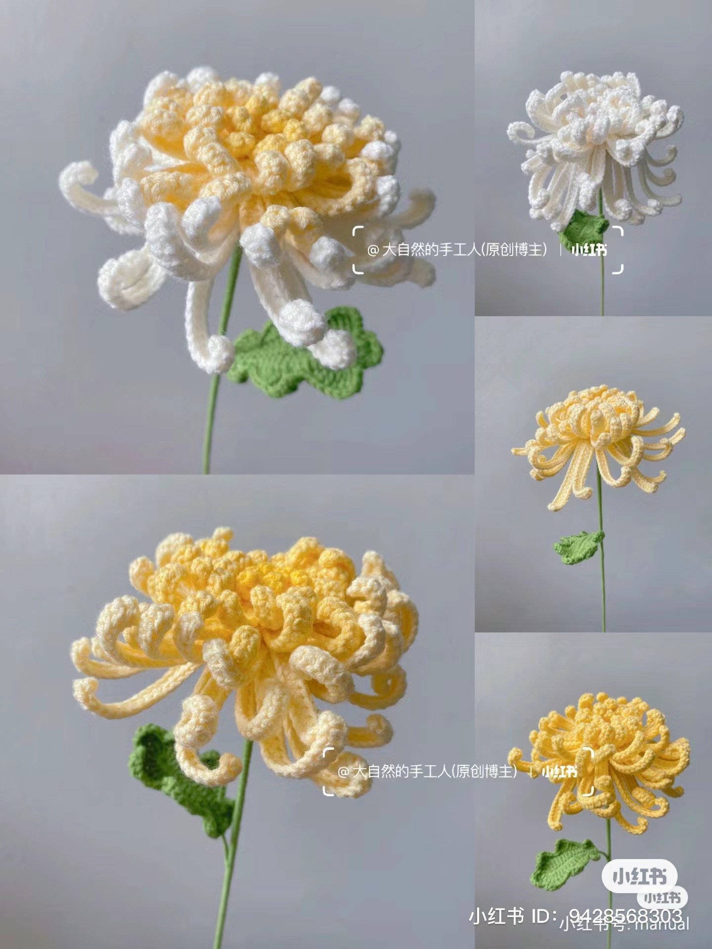 Crochet Chrysanthemum Flower Pattern Chart