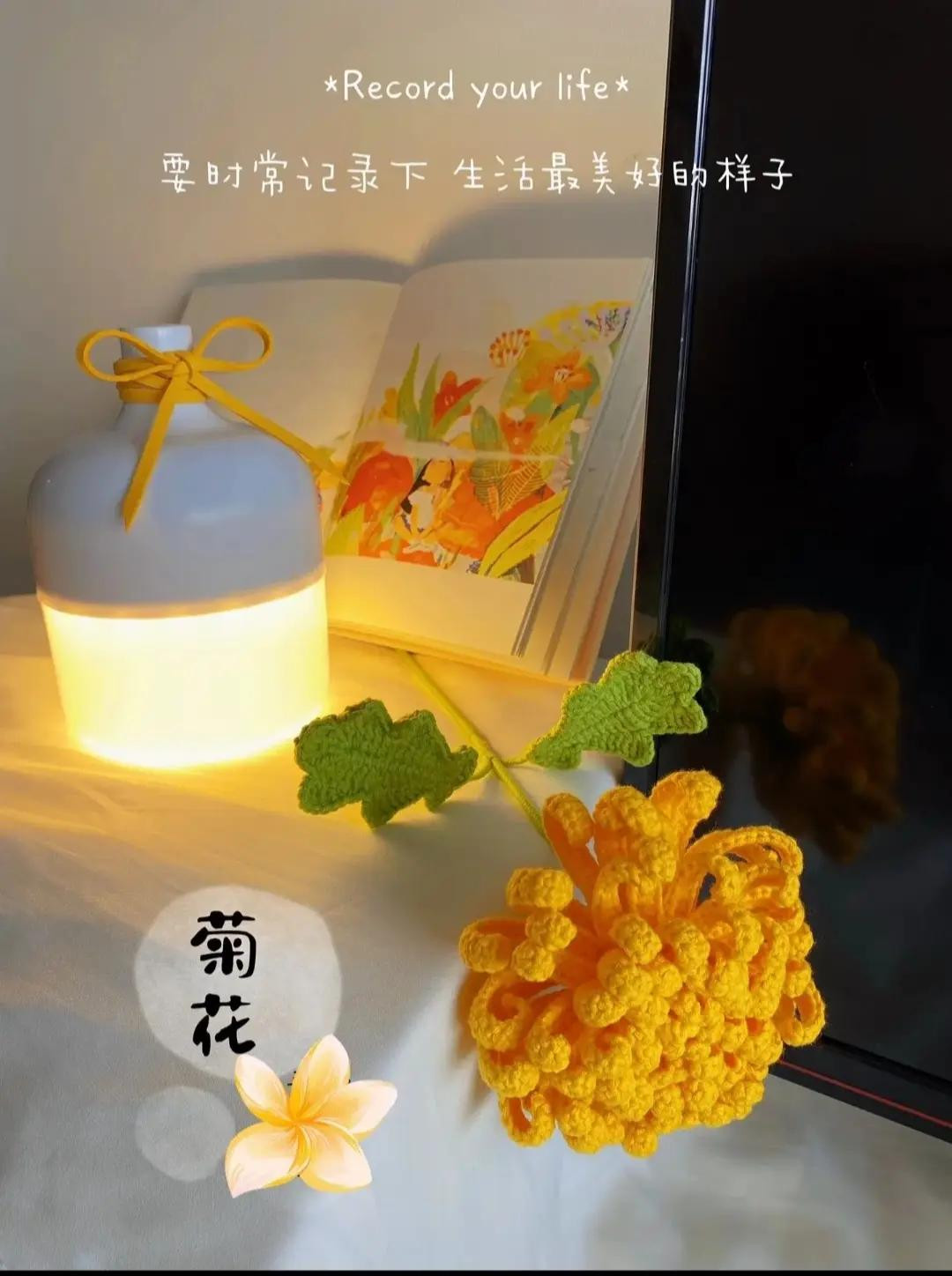 Crochet Chrysanthemum Flower Pattern Chart with Detailed Instructions