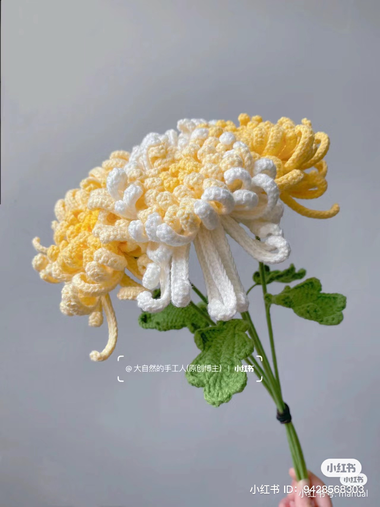 Crochet Chrysanthemum Flower Pattern Chart