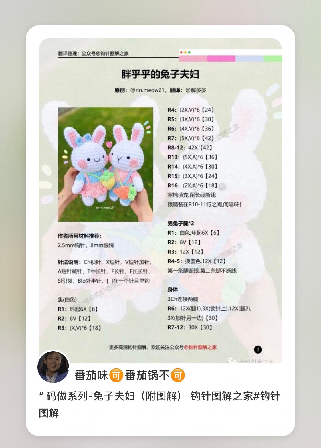 Crochet Chubby Rabbit Couple Pattern with Carrot Bag