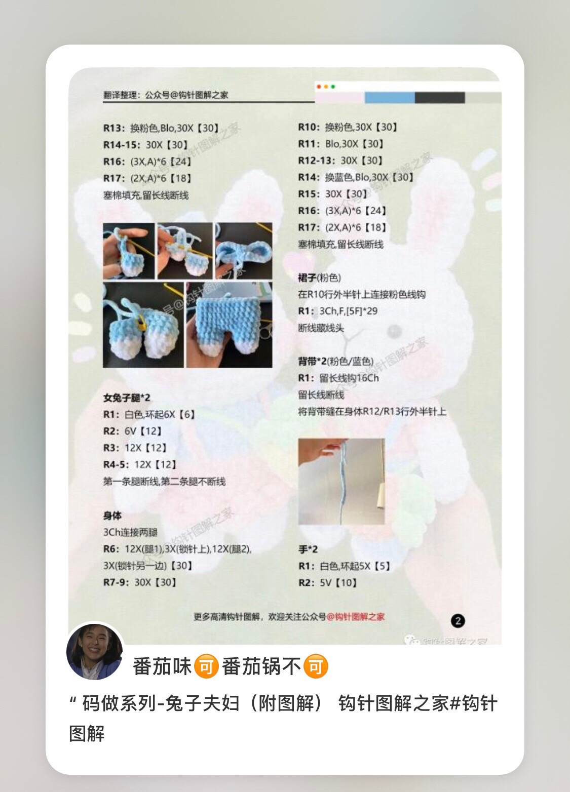 Crochet Chubby Rabbit Couple Pattern with Carrot Bag