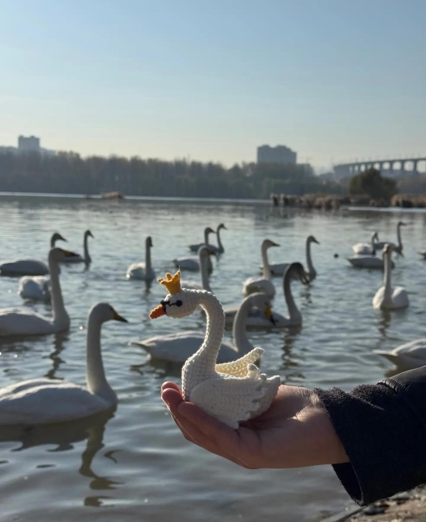 Crochet Crowned White Swan Amigurumi Pattern Tutorial