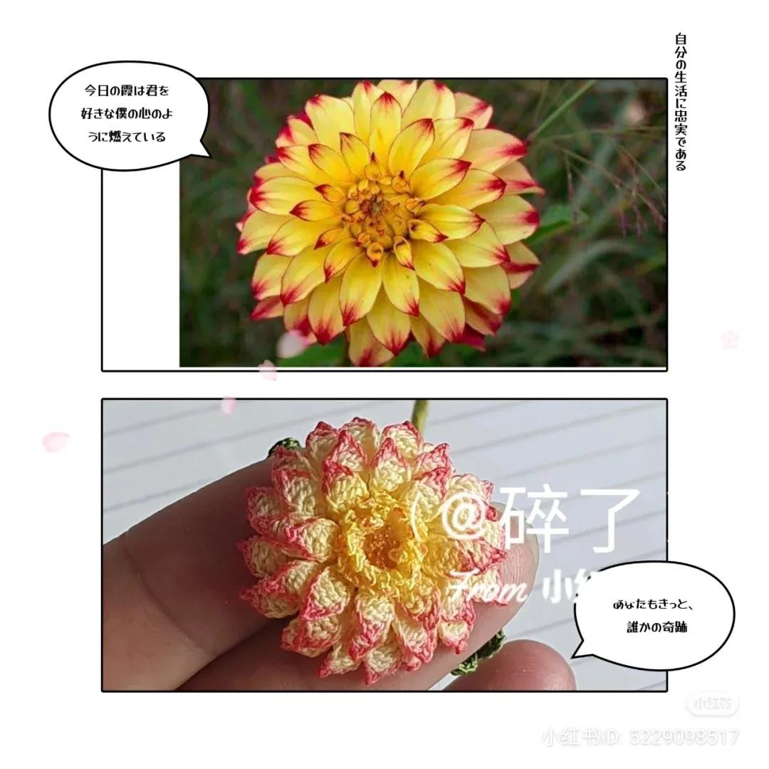 Crochet Dahlia Flower Pattern with Handwritten Chart