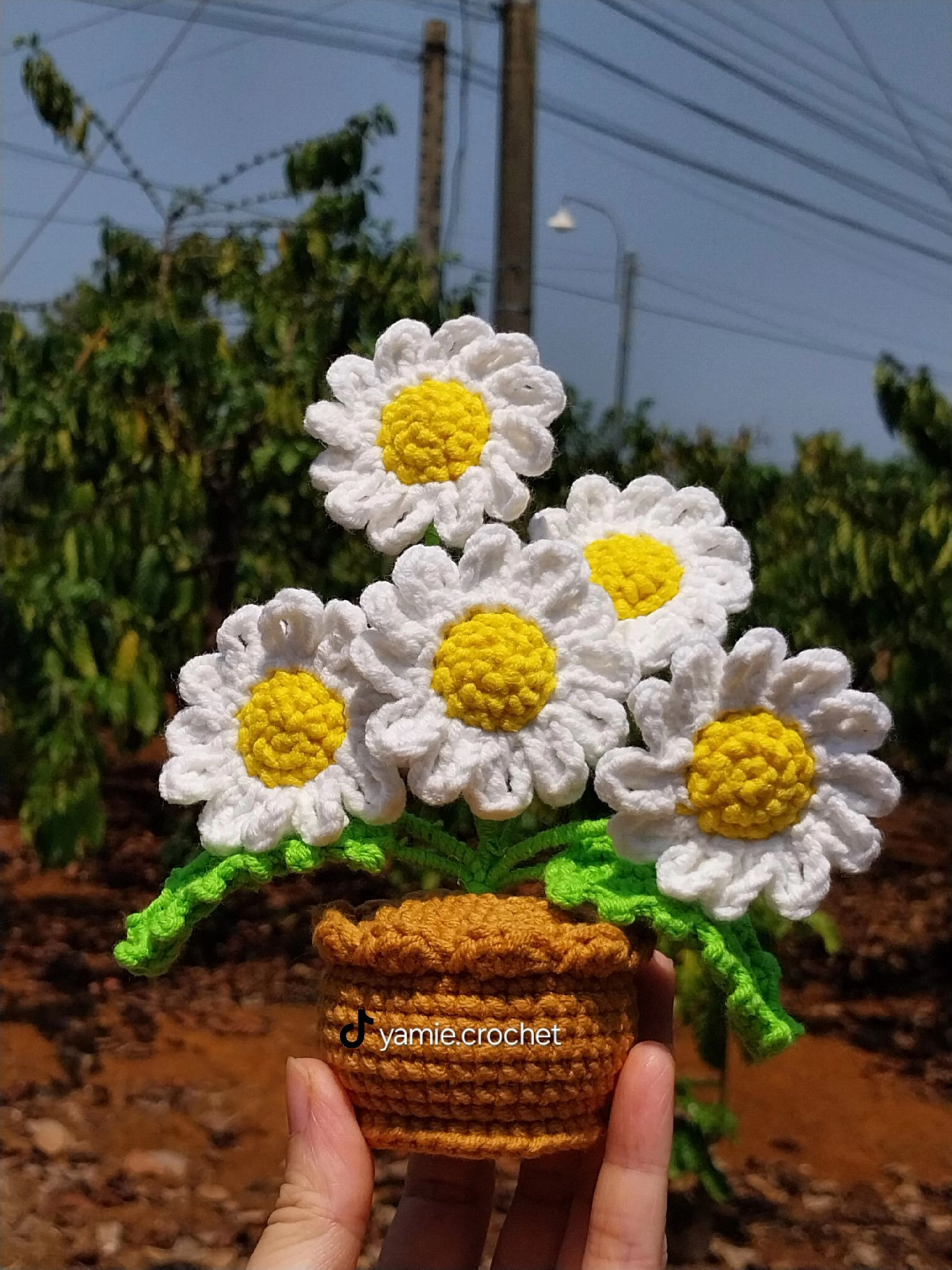 Crochet Daisies in Pot Flat Chart Pattern