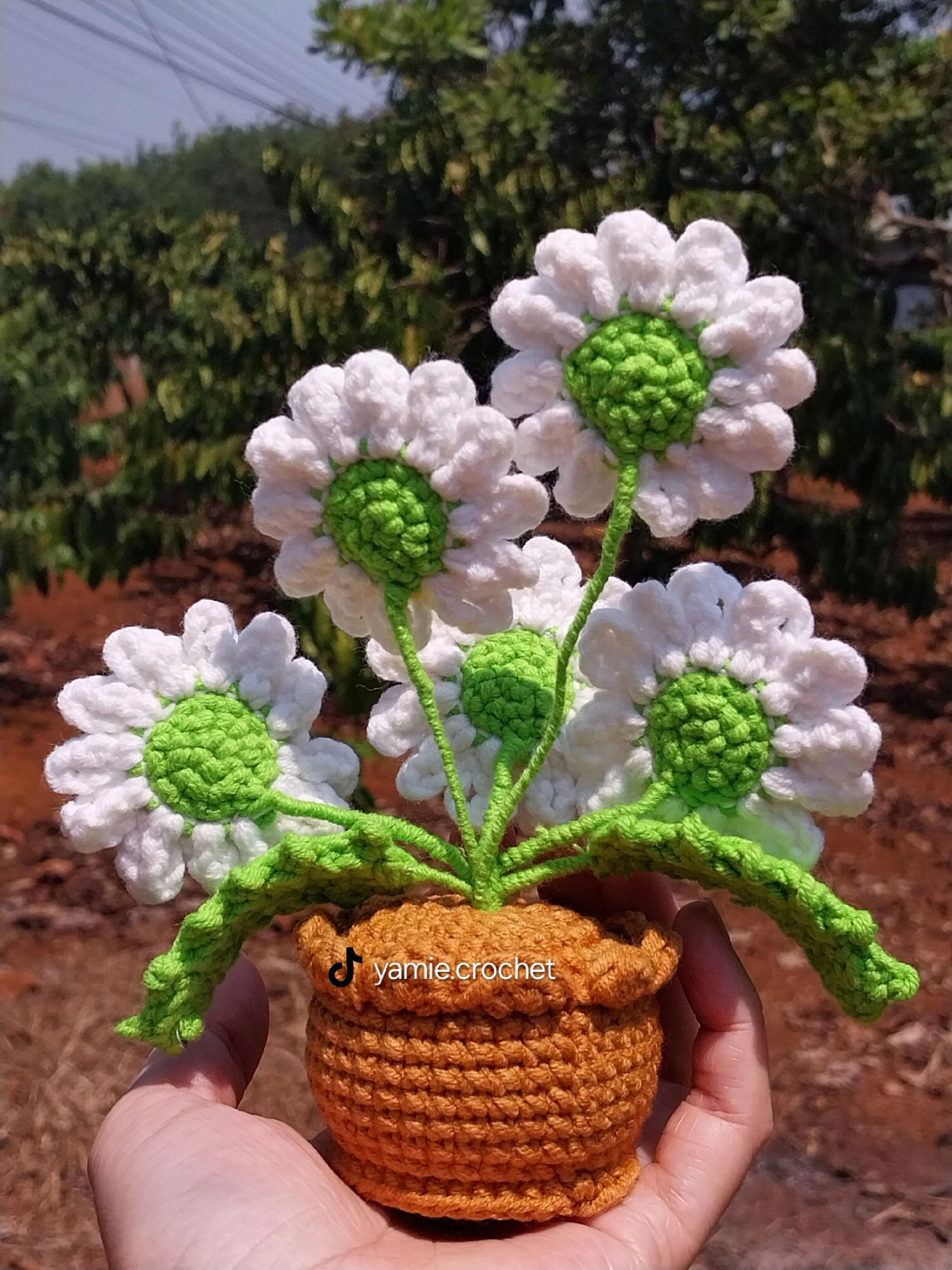Crochet Daisies in Pot Flat Chart Pattern