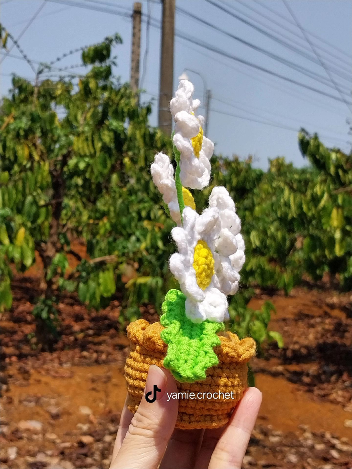 Crochet Daisies in Pot Flat Chart Pattern