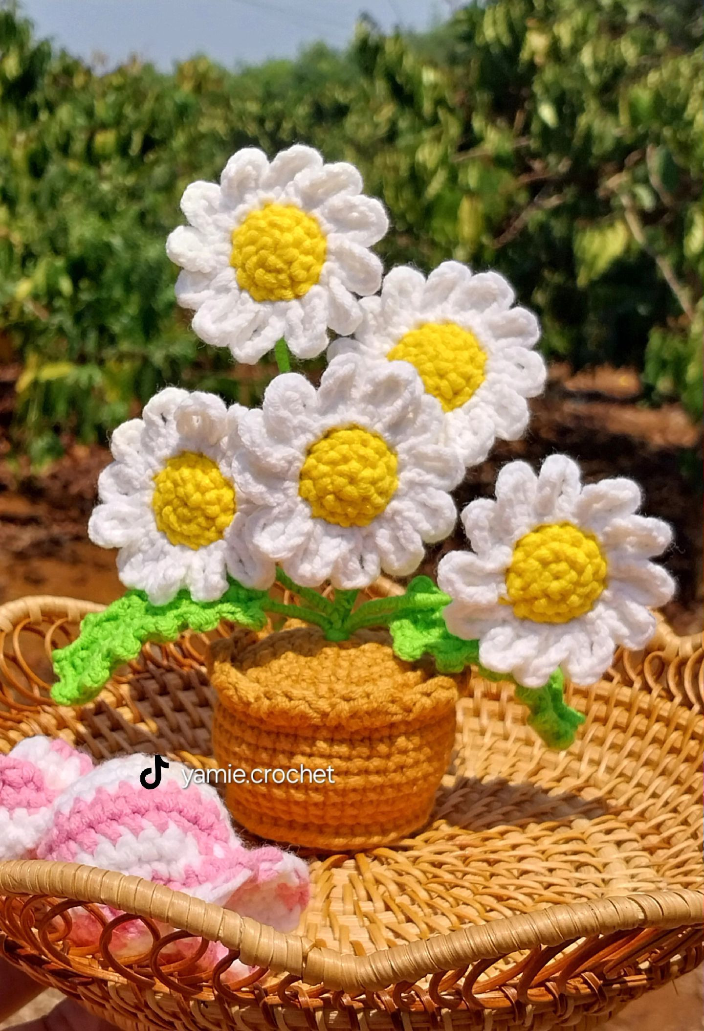 Crochet Daisies in Pot Flat Chart Pattern