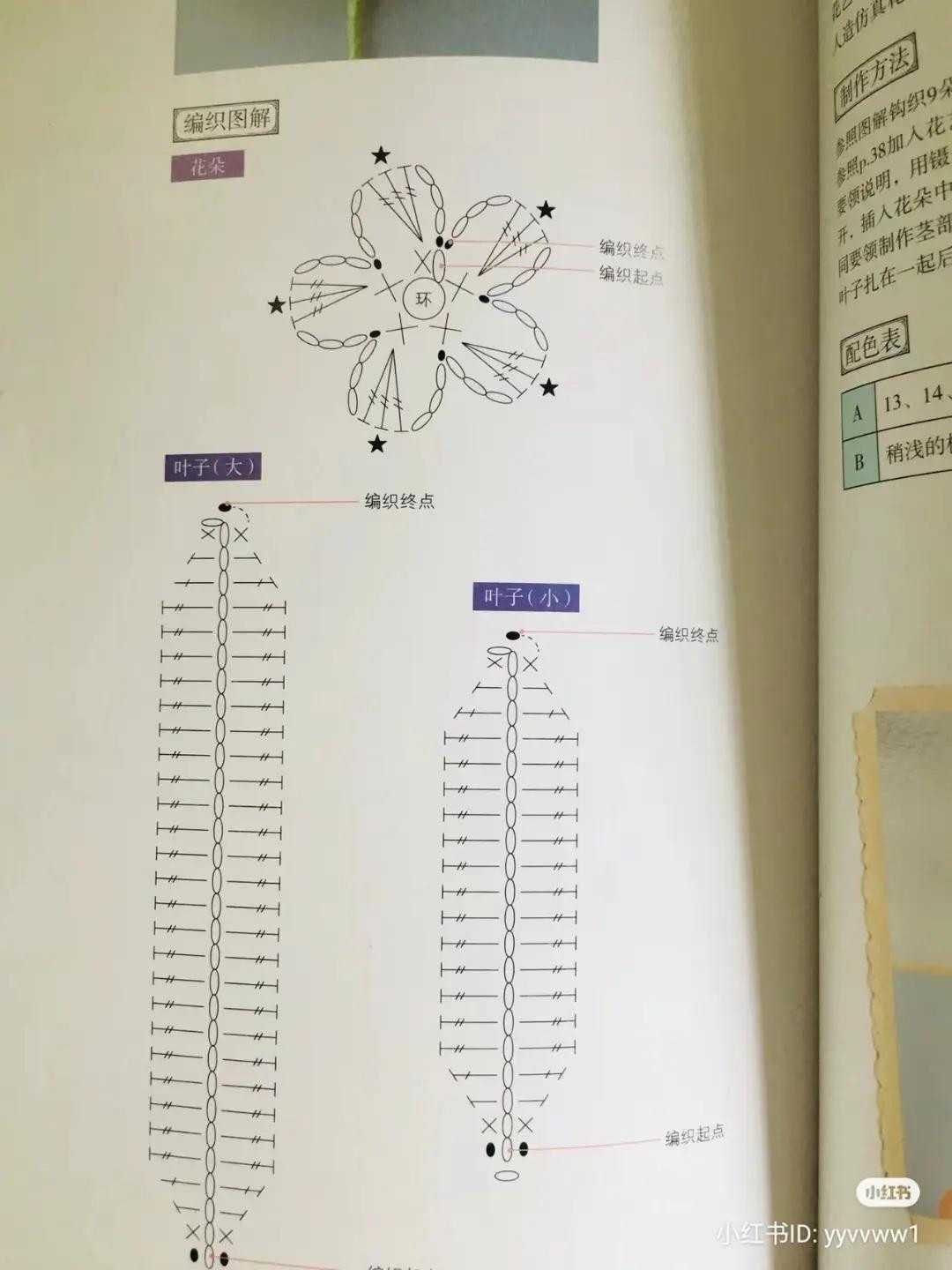 Crochet Forget Me Not Flower Crown Pattern Chart