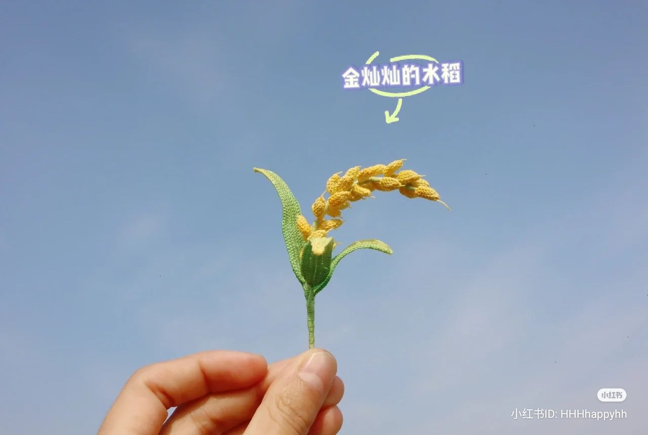 Crochet Golden Rice Plant Pattern Chart