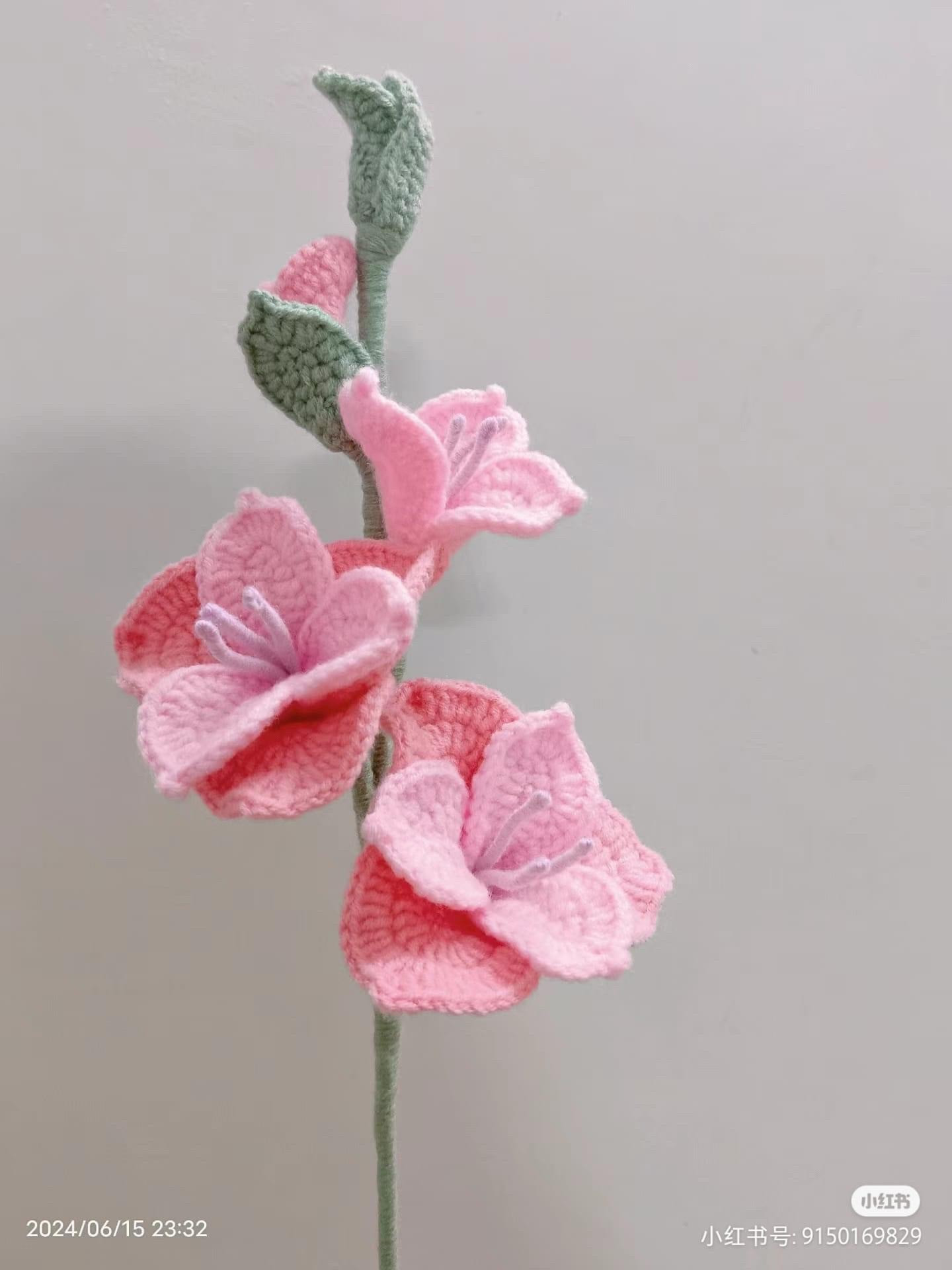 Crochet Hyacinth and Gladiolus Flowers Pattern Chart with Instructions