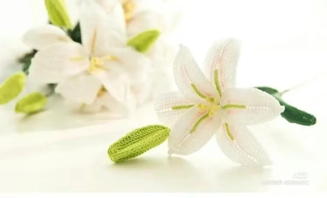 Crochet Lily Flower Pattern: Detailed Charts for Petals, Buds, Leaves and Assembly Instructions