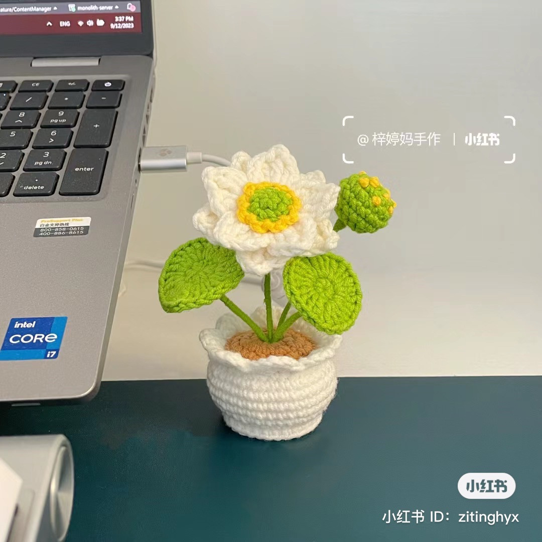 Crochet Lotus and Tulip Flower Pot Pattern Charts